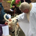 2015 blessing of the animals at Grace Church Baldwinsville