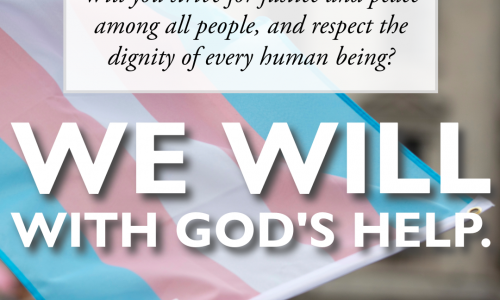 The image reads: "Will you strive for justice and peace among all people, and respect the dignity of every human being? We will with God's help" and includes the logo of the diocese. The background of the image is a photo of a light pink, white, and light blue trans pride flag.