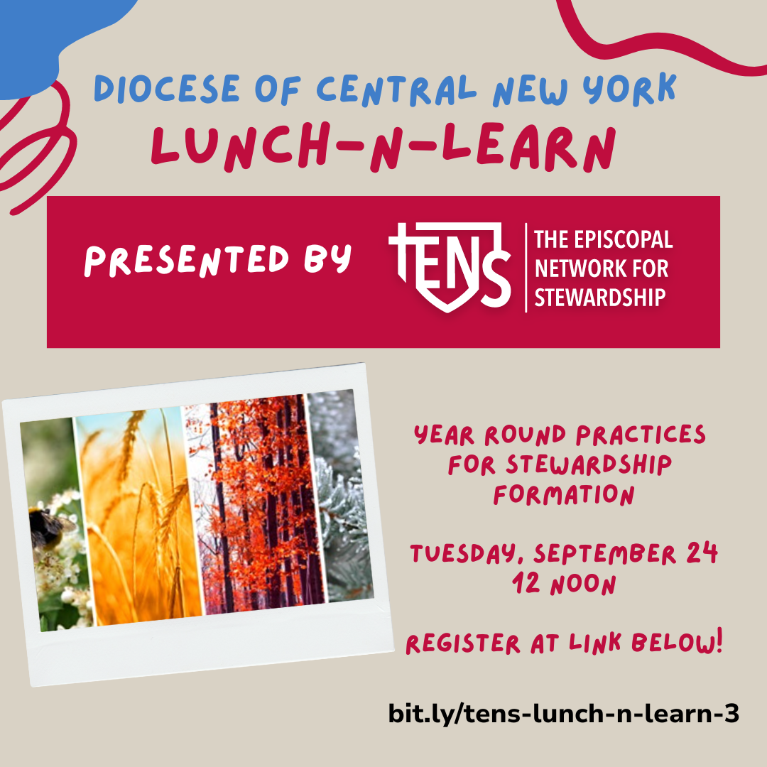 Image Description: Promotional flyer for a Diocese of Central New York Lunch-n-Learn event. Presented by The Episcopal Network for Stewardship, it covers "Year Round Practices for Stewardship Formation" on Tuesday, September 24 at 12 noon. Register at bit.ly/tens-lunch-n-learn-3.